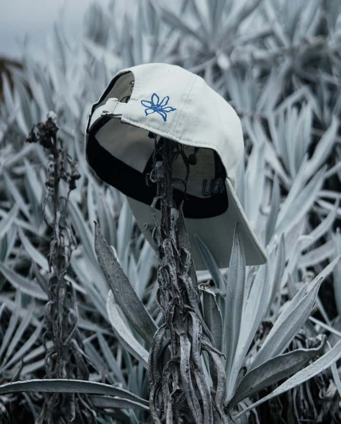 Gorra “Raíz” – BOU (Beige)