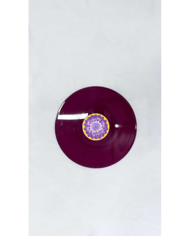 Vinilo Flora Nasa Histoires