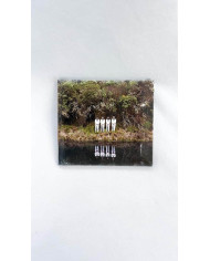 CD Como Pez en el Hielo