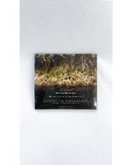 CD Dios y la Mata de Lulo