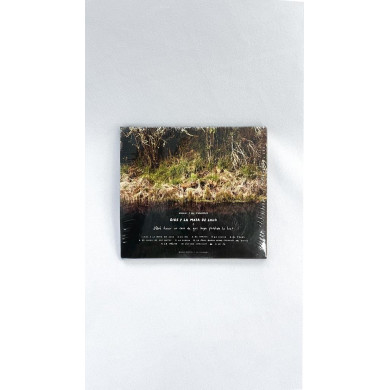 CD Dios y la Mata de Lulo